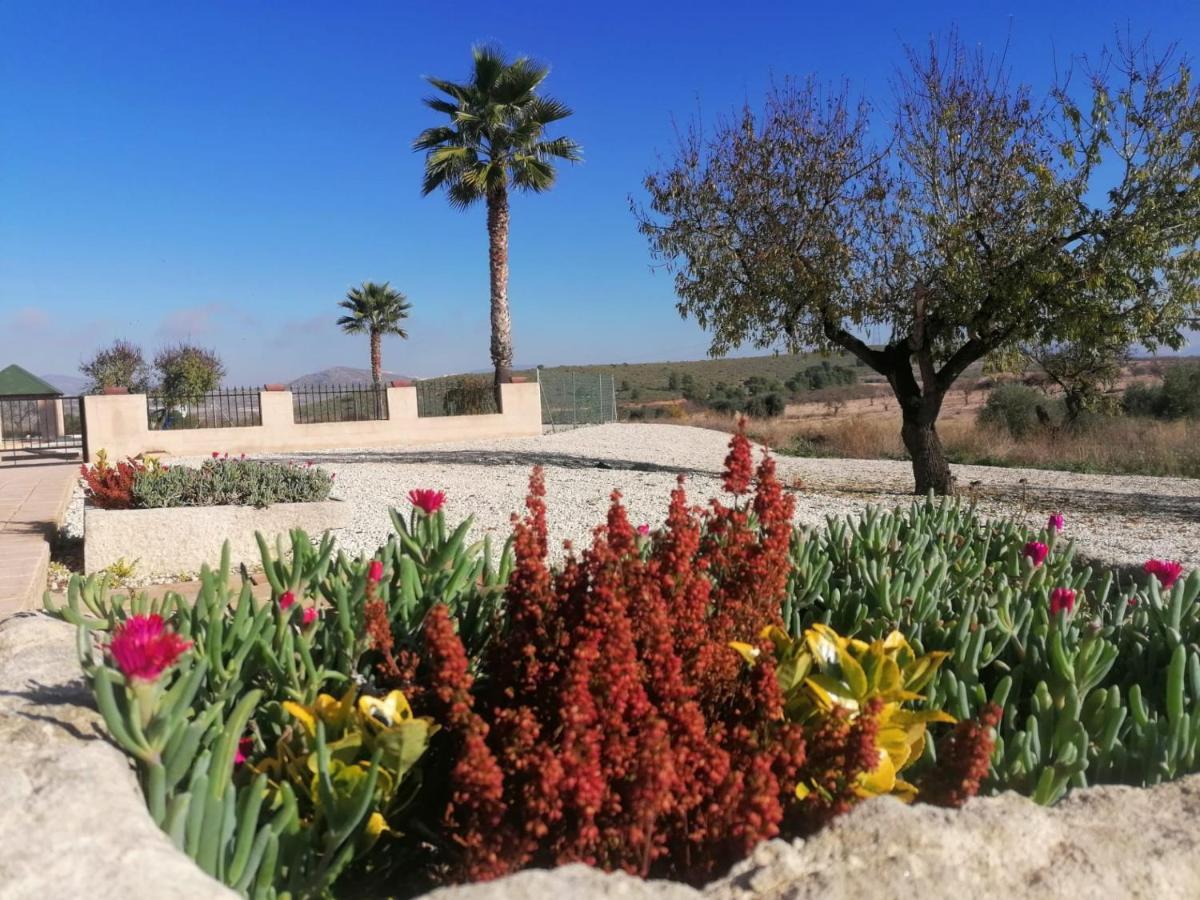 Finca Guillermo Murcia Canada del Trigo Exteriér fotografie
